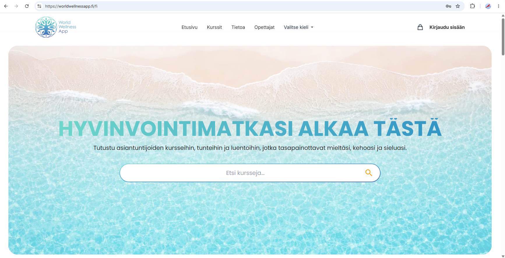 Portfolio Image